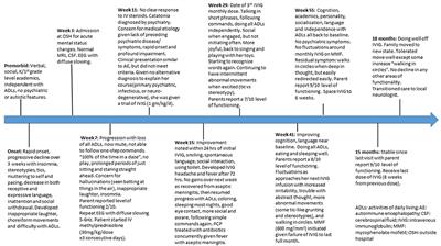 Case Report: Improvement Following Immunotherapy in an Individual With Seronegative Down Syndrome Disintegrative Disorder